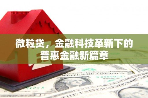 疏附微粒贷，金融科技革新下的普惠金融新篇章