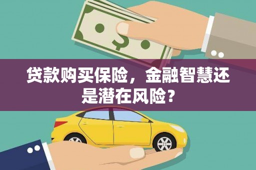 疏附贷款购买保险，金融智慧还是潜在风险？