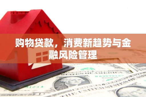 疏附购物贷款，消费新趋势与金融风险管理