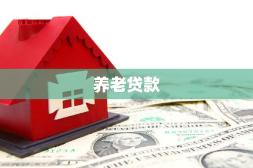 疏附养老贷款
