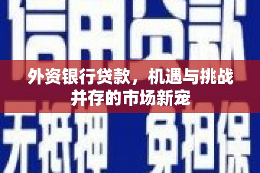 疏附外资银行贷款，机遇与挑战并存的市场新宠