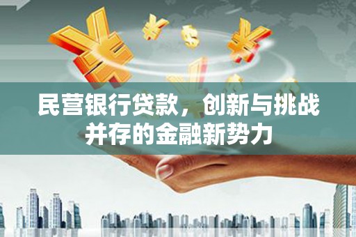 疏附民营银行贷款，创新与挑战并存的金融新势力
