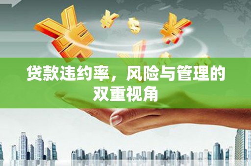 疏附贷款违约率，风险与管理的双重视角