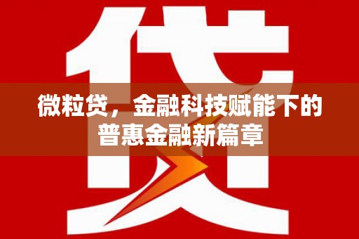 疏附微粒贷，金融科技赋能下的普惠金融新篇章