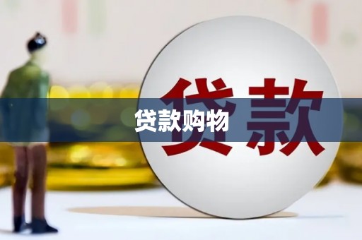 疏附贷款购物