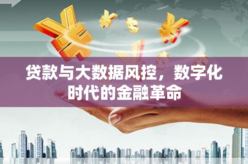 疏附贷款与大数据风控，数字化时代的金融革命