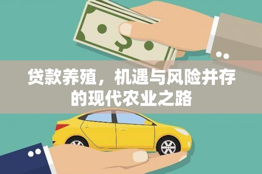 疏附贷款养殖，机遇与风险并存的现代农业之路