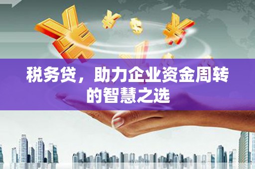 疏附税务贷，助力企业资金周转的智慧之选
