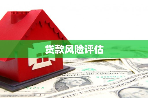 疏附贷款风险评估