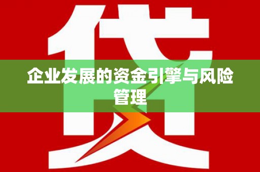 疏附企业发展的资金引擎与风险管理
