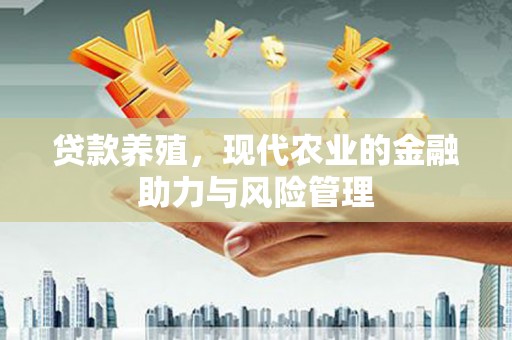 疏附贷款养殖，现代农业的金融助力与风险管理