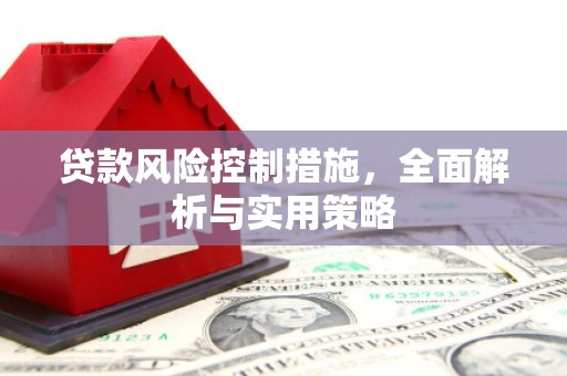 疏附贷款风险控制措施，全面解析与实用策略