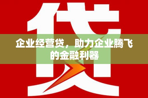 疏附企业经营贷，助力企业腾飞的金融利器