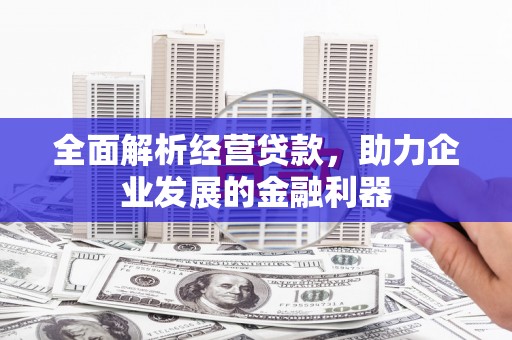 疏附全面解析经营贷款，助力企业发展的金融利器