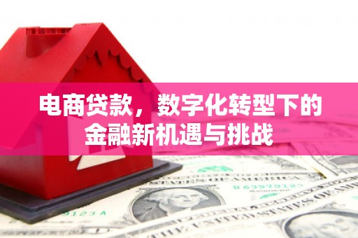 疏附电商贷款，数字化转型下的金融新机遇与挑战