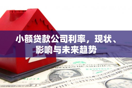 疏附小额贷款公司利率，现状、影响与未来趋势
