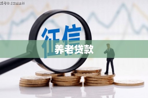 疏附养老贷款