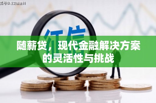 疏附随薪贷，现代金融解决方案的灵活性与挑战