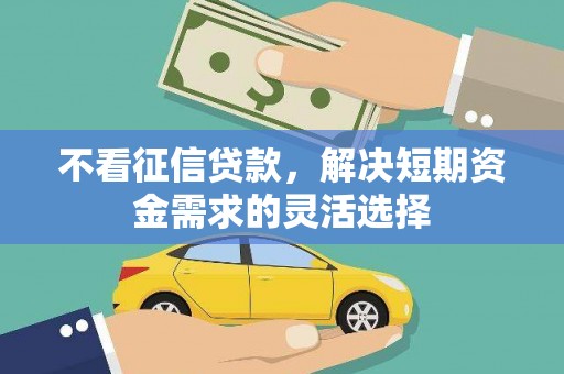 疏附不看征信贷款，解决短期资金需求的灵活选择