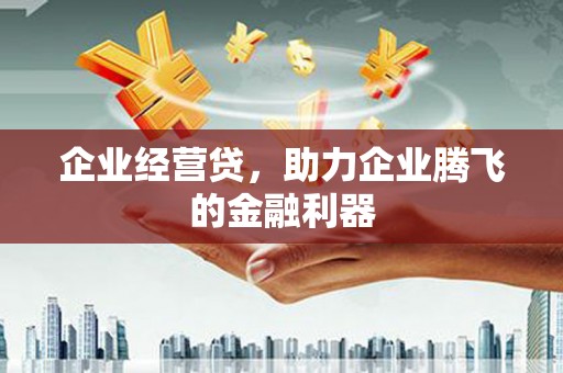 疏附企业经营贷，助力企业腾飞的金融利器