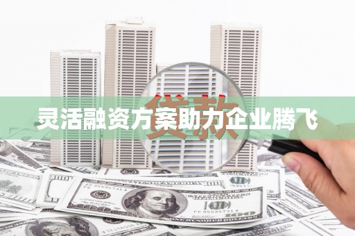 疏附灵活融资方案助力企业腾飞