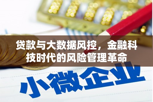 疏附贷款与大数据风控，金融科技时代的风险管理革命