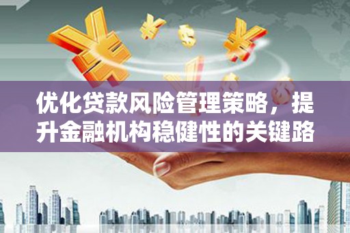 疏附优化贷款风险管理策略，提升金融机构稳健性的关键路径