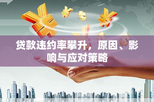 疏附贷款违约率攀升，原因、影响与应对策略