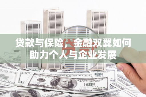 疏附贷款与保险，金融双翼如何助力个人与企业发展