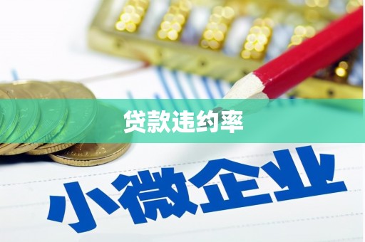 疏附贷款违约率