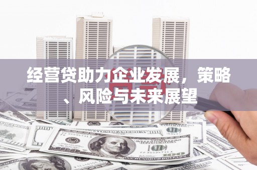 疏附经营贷助力企业发展，策略、风险与未来展望