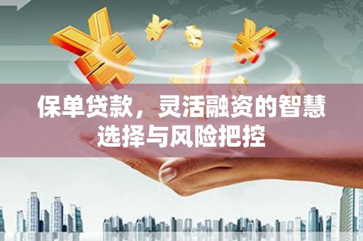 疏附保单贷款，灵活融资的智慧选择与风险把控