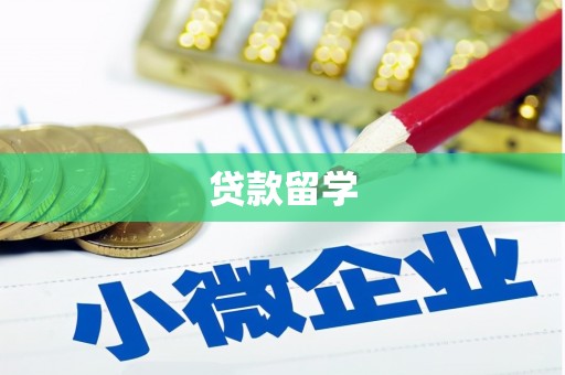 疏附贷款留学