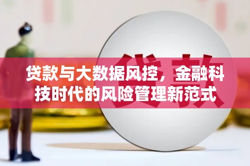 疏附贷款与大数据风控，金融科技时代的风险管理新范式