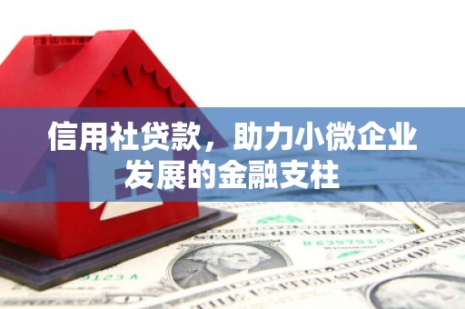 疏附信用社贷款，助力小微企业发展的金融支柱