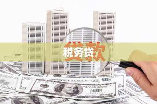 疏附税务贷