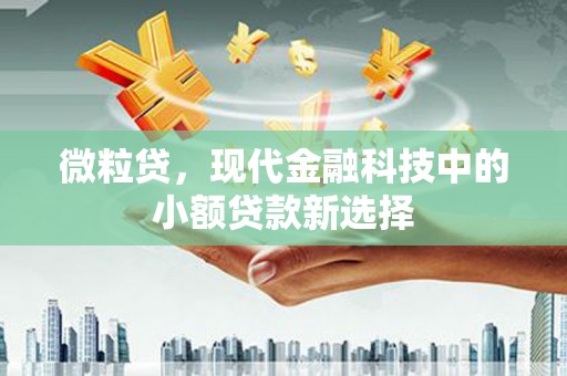 疏附微粒贷，现代金融科技中的小额贷款新选择