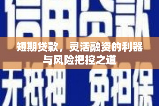 疏附短期贷款，灵活融资的利器与风险把控之道