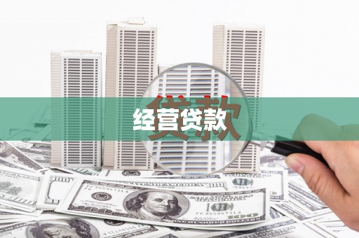 疏附经营贷款