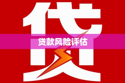 疏附贷款风险评估