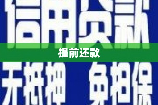 疏附提前还款
