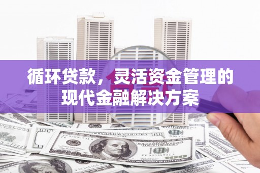 疏附循环贷款，灵活资金管理的现代金融解决方案