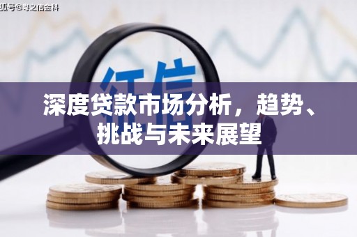 疏附深度贷款市场分析，趋势、挑战与未来展望