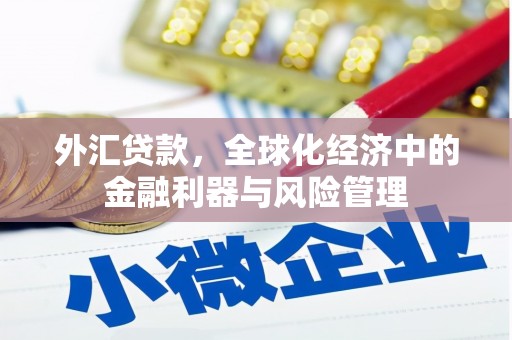 疏附外汇贷款，全球化经济中的金融利器与风险管理