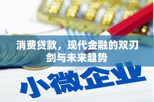 疏附消费贷款，现代金融的双刃剑与未来趋势