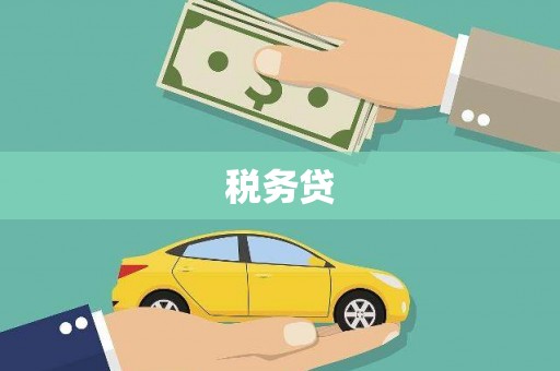 疏附税务贷