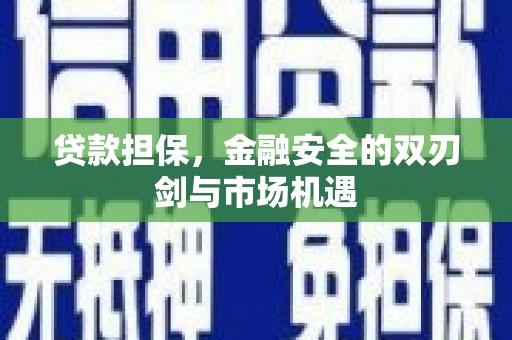 疏附贷款担保，金融安全的双刃剑与市场机遇