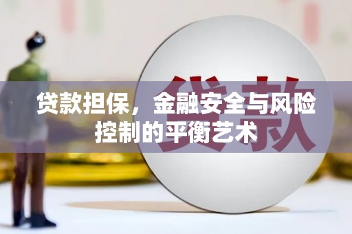 疏附贷款担保，金融安全与风险控制的平衡艺术
