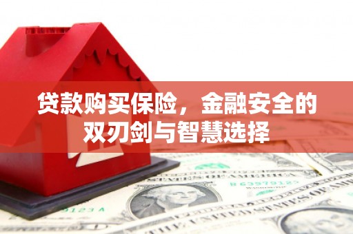 疏附贷款购买保险，金融安全的双刃剑与智慧选择