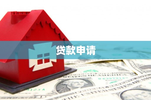 疏附贷款申请